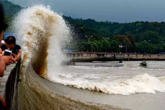 老尾值幕赝烦蹦芗て鸾10米高冲天浪头,但"追潮"绵延数百年的高人气